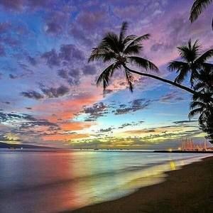 Meet your Posher, Mary nikki